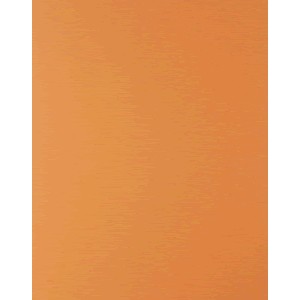 CARTULINA FASHION 65 X 50 NARANJA