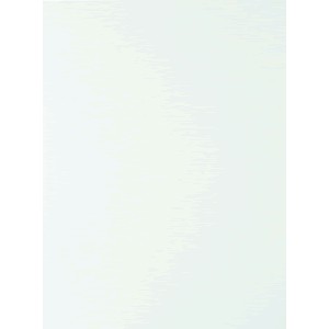 CARTULINA TAMANO CARTA AZUL PALIDO