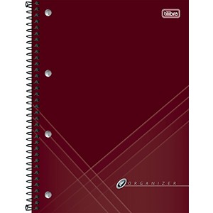 ORGANIZADOR EJECUTIVO ORGANIZE