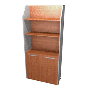 LIBRERO GCM COMPLETO CON PUERTAS