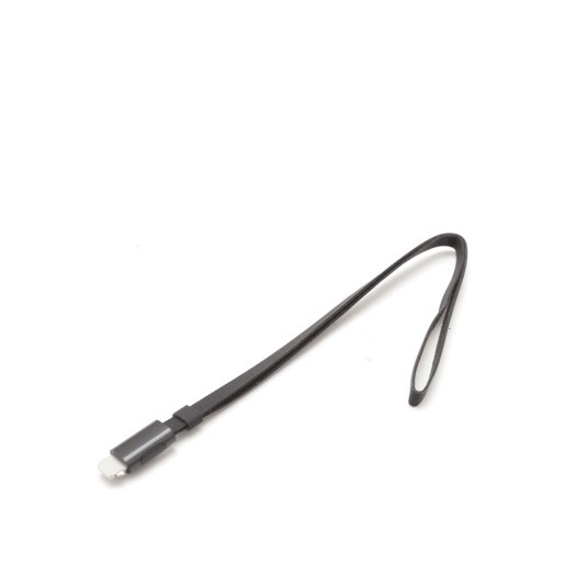 CORREA CONTROL REMOTO APPLE TV