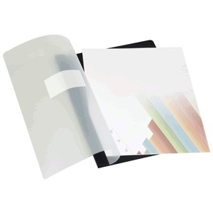 CARPETA PRESENTACION OFFICE DEPOT 10 DIV TAM CARTA