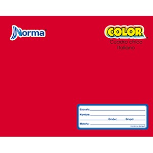 CUADERNO ITALIANA COSIDO CUADRO GRANDE NORMA 100 H