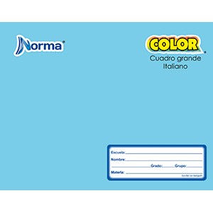 CUADERNO ITALIANA COSIDO CUADRO GDE NORMA 100 HOJA
