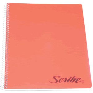 CUADERNO PROFESIONAL SCRIBE CLASICO CUADRO GR 100H