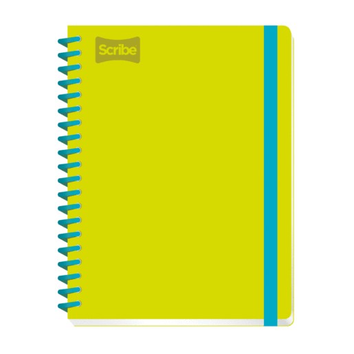 PROFESIONAL UNIVERSITARIO CUADRO GRANDE 100 HOJAS