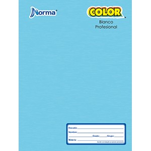 CUADERNO PROFESIONAL RAYA NORMA 100 HOJAS
