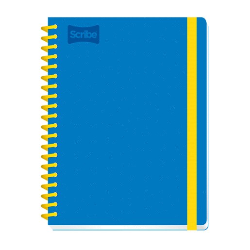CUADERNO PROFESIONAL CUADRO CH SCRIBE 100 HOJAS
