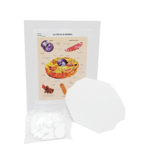 MAQUETA INST CELULA ANIMAL