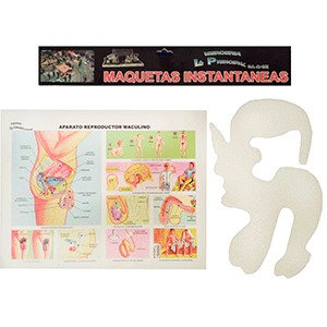 MAQUETA INST REP. MASCULINO